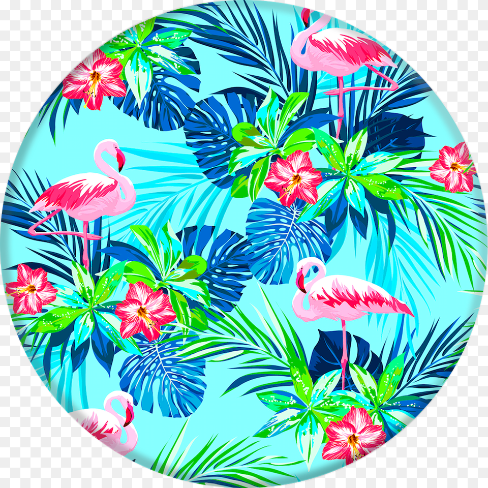 Rainforest Flamingos Popsocket Flamingo Popsocket, Animal, Bird Png Image