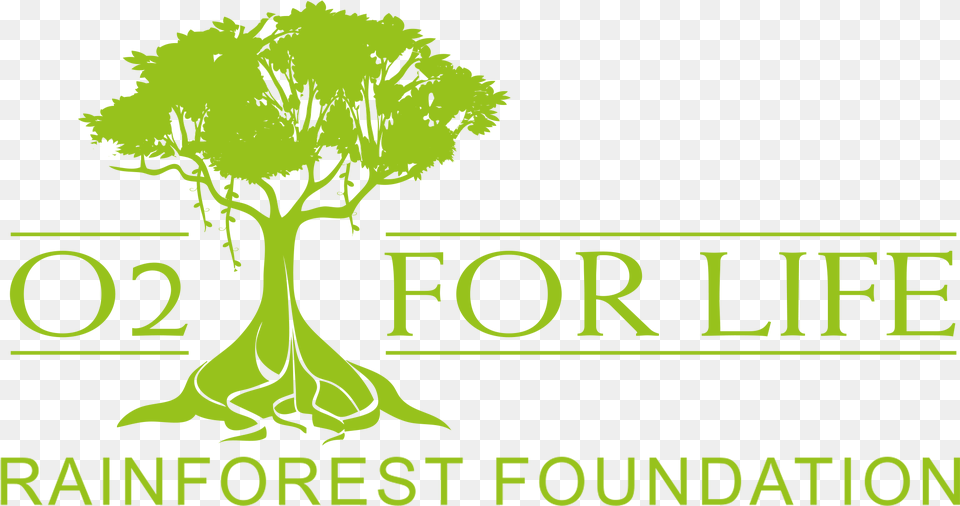 Rainforest Foundation Fund, Green, Plant, Tree, Vegetation Png Image