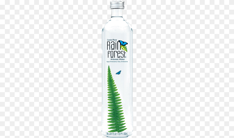 Rainforest Glass Rain Forest Artesian Water Still 05l 12 Tetra Paks, Bottle, Herbal, Herbs, Plant Png