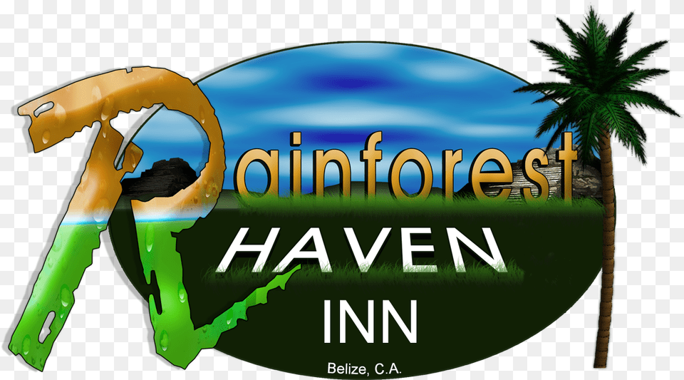 Rainforest Haven Inn, Plant, Summer, Tree, Vegetation Free Transparent Png