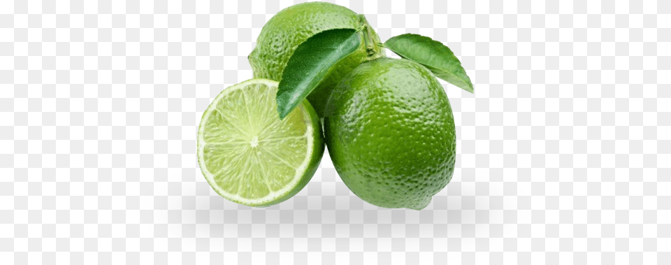 Rainforest Limes Persian Lime, Citrus Fruit, Food, Fruit, Plant Png