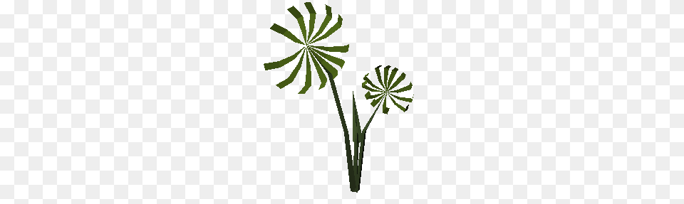 Rainforest Plant, Flower, Leaf, Food Free Png Download