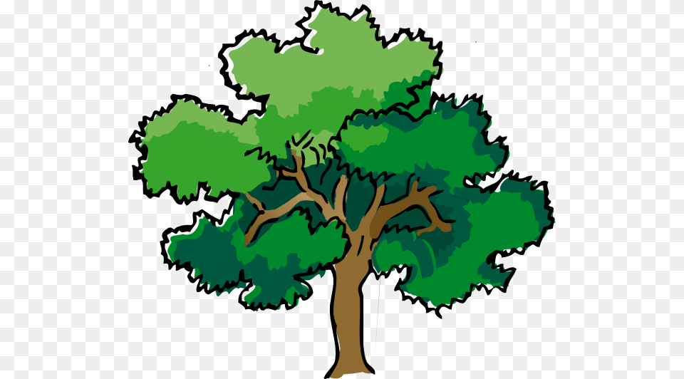 Rainforest Plant And Tree Clipart, Oak, Sycamore, Vegetation Png Image