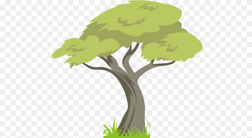 Rainforest Transparent Cartoon Amazon Rainforest Trees, Tree Trunk, Tree, Plant, Sycamore Free Png Download