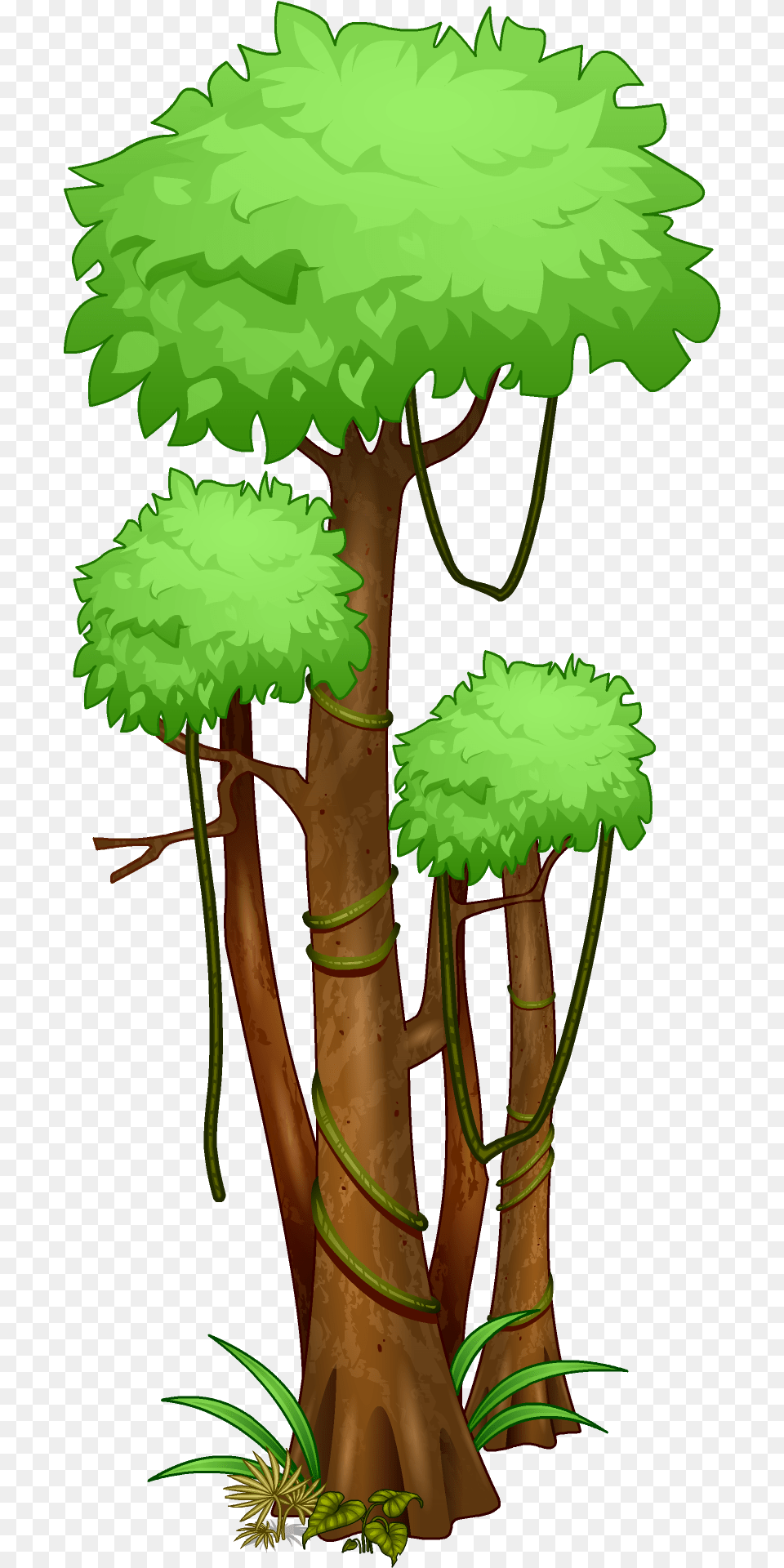 Rainforest Trees Transparent Tropical Rainforest Trees Drawing, Vegetation, Tree Trunk, Tree, Green Free Png