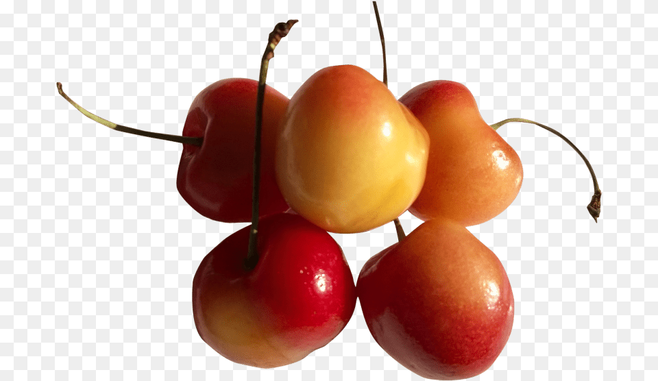 Rainier Cherries Images Transparent Portable Network Graphics, Cherry, Food, Fruit, Plant Png Image