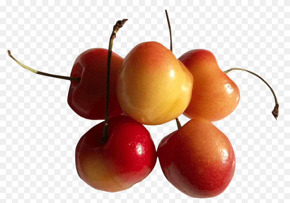Rainier Cherry, Food, Fruit, Plant, Produce Free Png