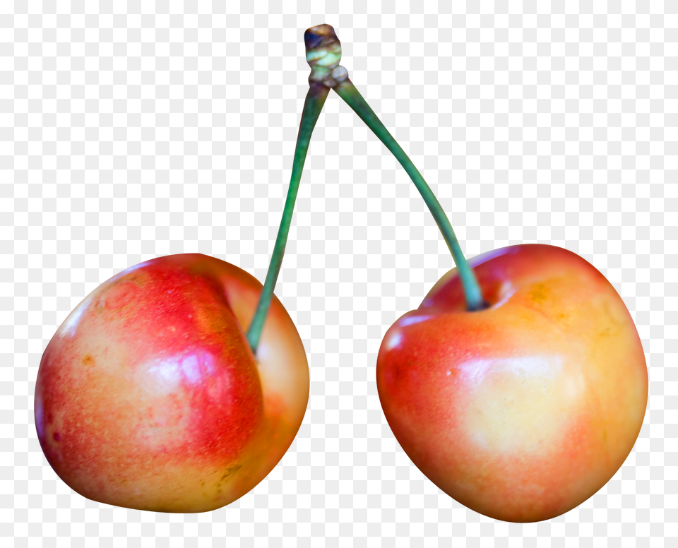 Rainier Cherry, Apple, Food, Fruit, Plant Free Transparent Png
