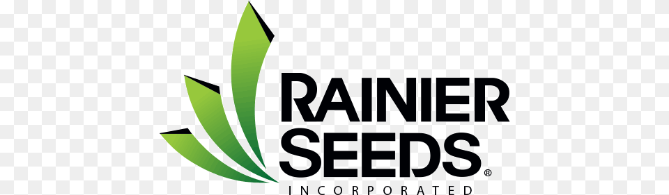 Rainier Seeds Logo Seed, Green, Leaf, Plant, Herbal Free Png