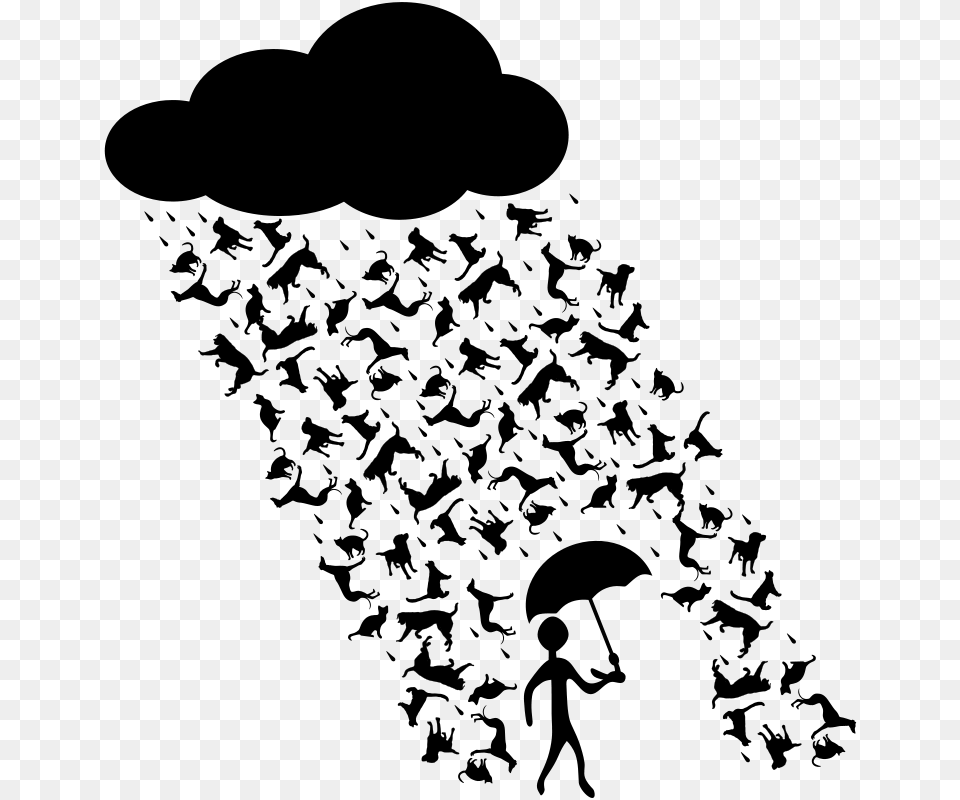 Raining Cats And Dogs, Gray Png Image