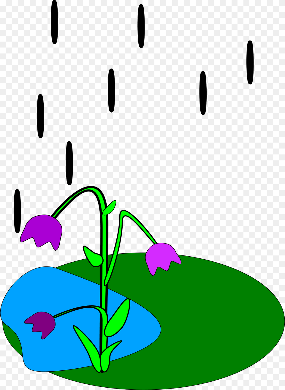 Raining Clipart, Purple, Flower, Plant, Green Png