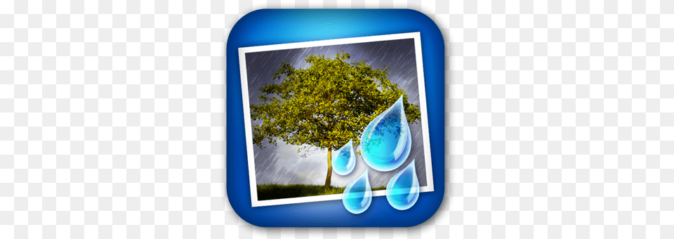 Rainy Clouds And Photo Graphic Design, Plant, Tree, Land, Nature Png Image