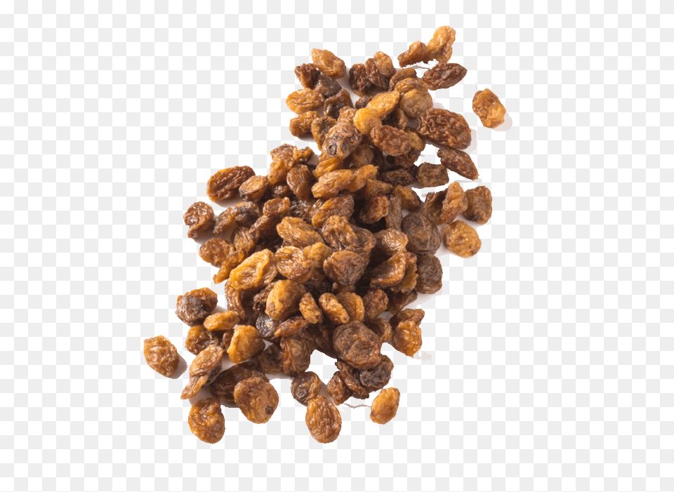 Raisin, Plant, Raisins Free Png Download