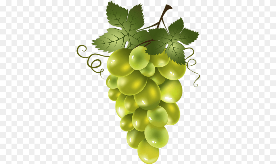Raisin Blanc 3 Image Green Grapes Clipart, Food, Fruit, Plant, Produce Free Transparent Png