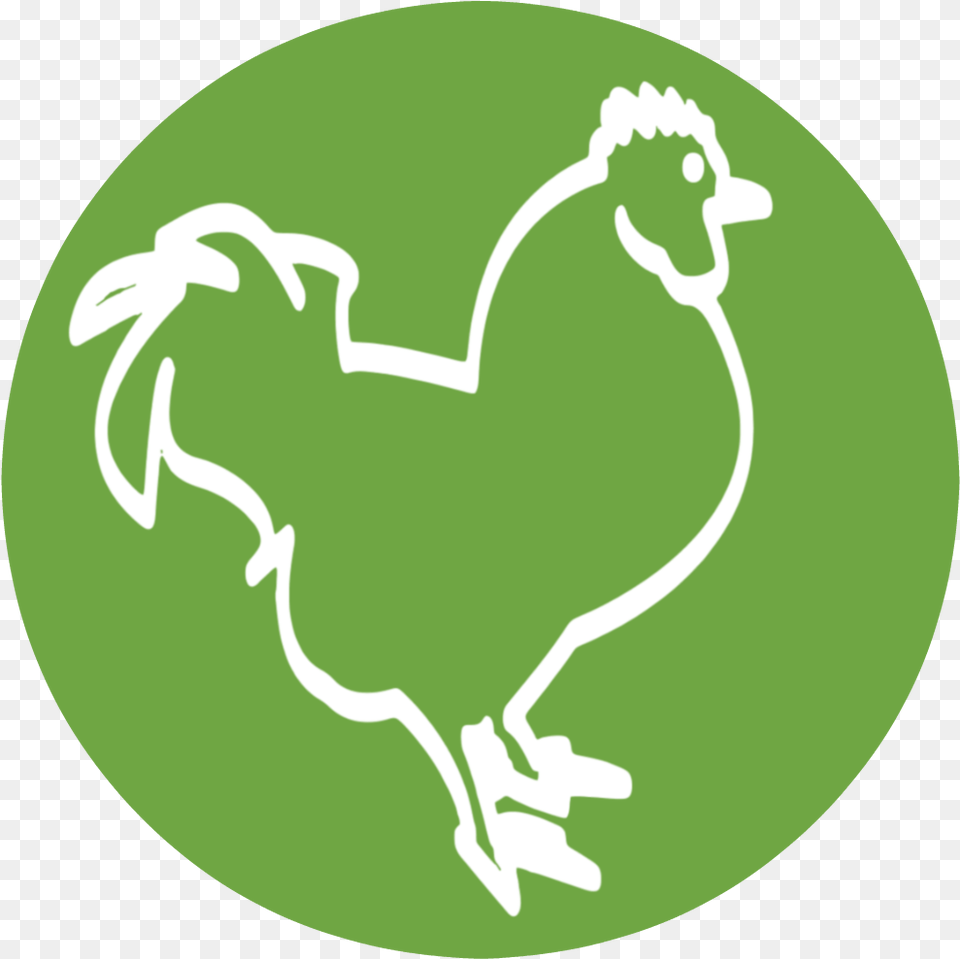 Raising Happy Chickens Icon Chicken, Animal, Bird Png