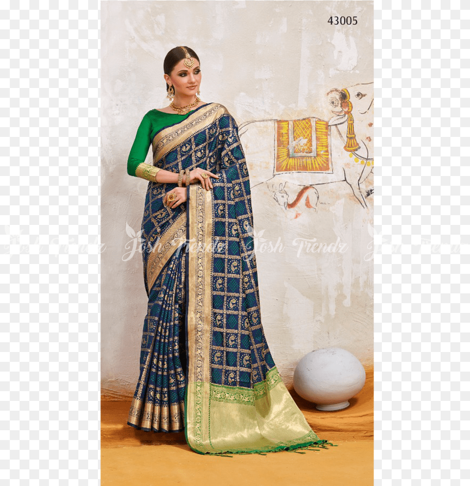 Rajtex Khambhati Silk Saree Jt Rk Sarees Patola Sari, Clothing, Adult, Bride, Female Free Transparent Png