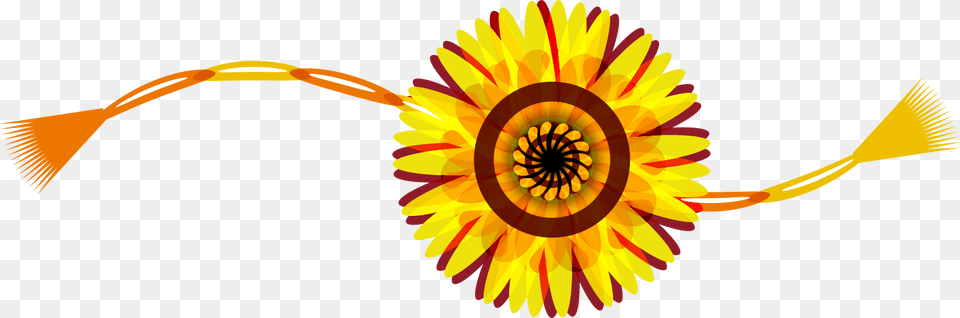 Rakhi Design, Art, Daisy, Flower, Graphics Png Image