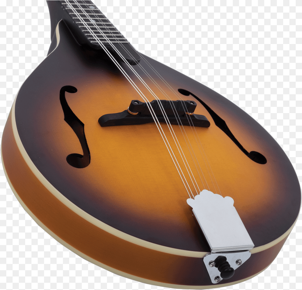 Ram 3 Ts Bottom Indian Musical Instruments, Guitar, Mandolin, Musical Instrument, Lute Free Png