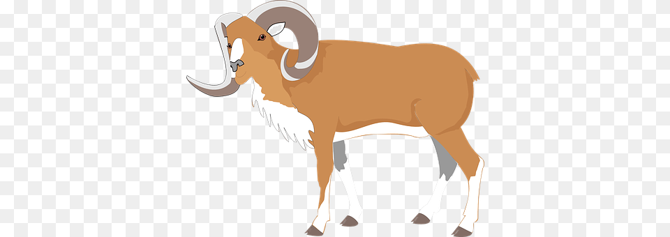 Ram Livestock, Animal, Mammal, Cattle Png Image
