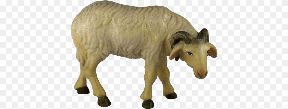 Ram Animal Calf, Livestock, Mammal, Sheep, Cattle Png Image