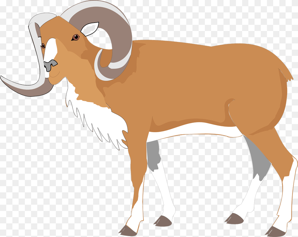 Ram Clipart, Livestock, Animal, Mammal, Cattle Free Png