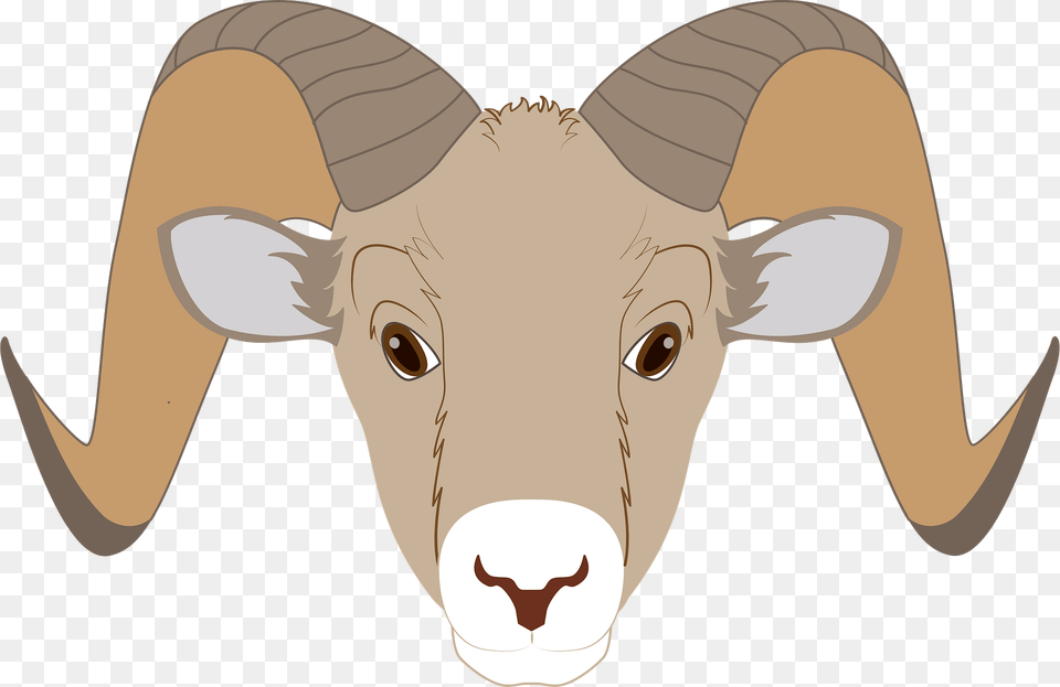 Ram Face Clipart, Baby, Person, Head, Livestock Free Png Download