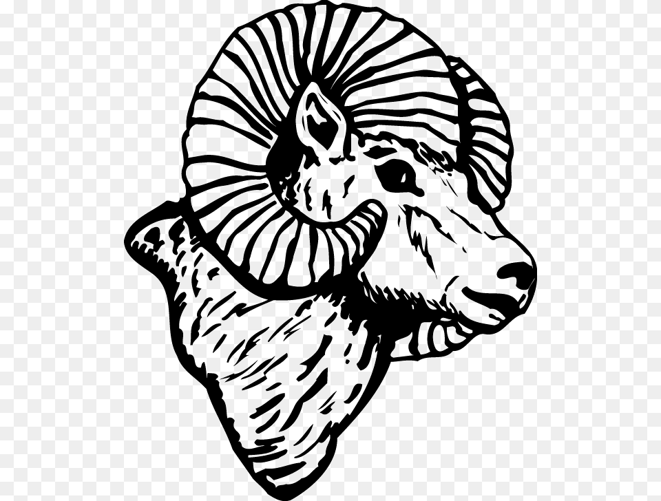 Ram Head Side View, Art, Drawing, Animal, Wildlife Png