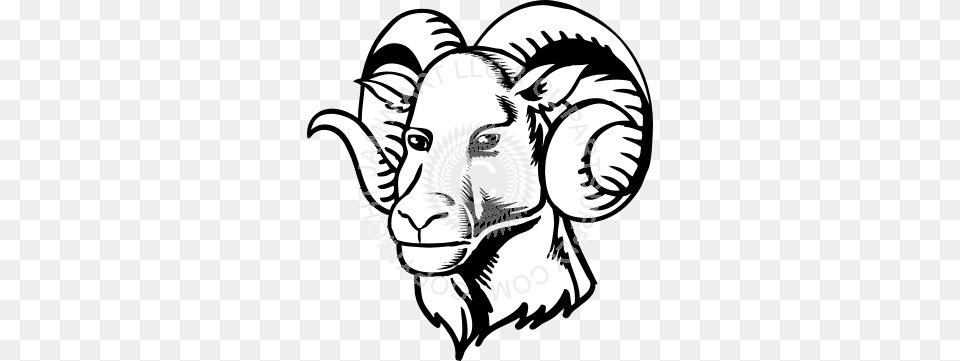 Ram Head With Curly Horns, Livestock, Adult, Person, Woman Free Transparent Png