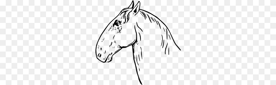 Ram Headed Horsehead Clip Art, Andalusian Horse, Animal, Horse, Mammal Png