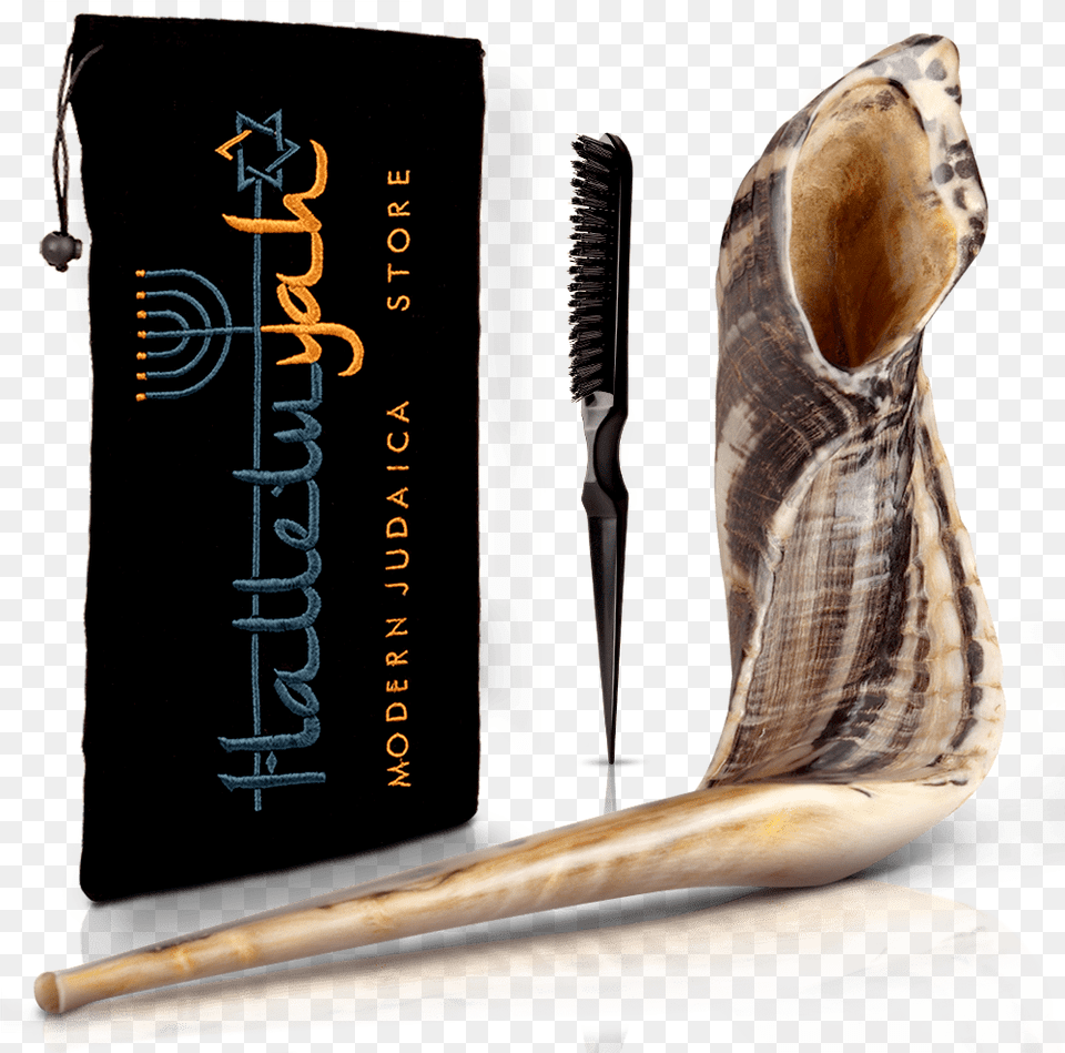 Ram Horn Shofar With Bag Clean Brush Shofar Png