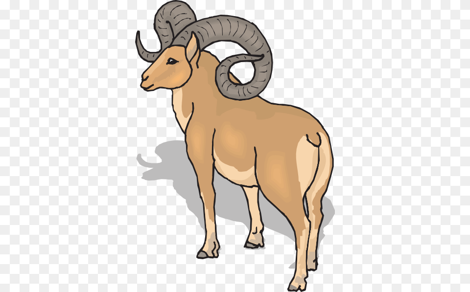 Ram Horns Clip Art At Vector Clip Art Rocky Mountain Bighorn Sheep Cartoon, Animal, Mammal, Cattle, Cow Free Png Download