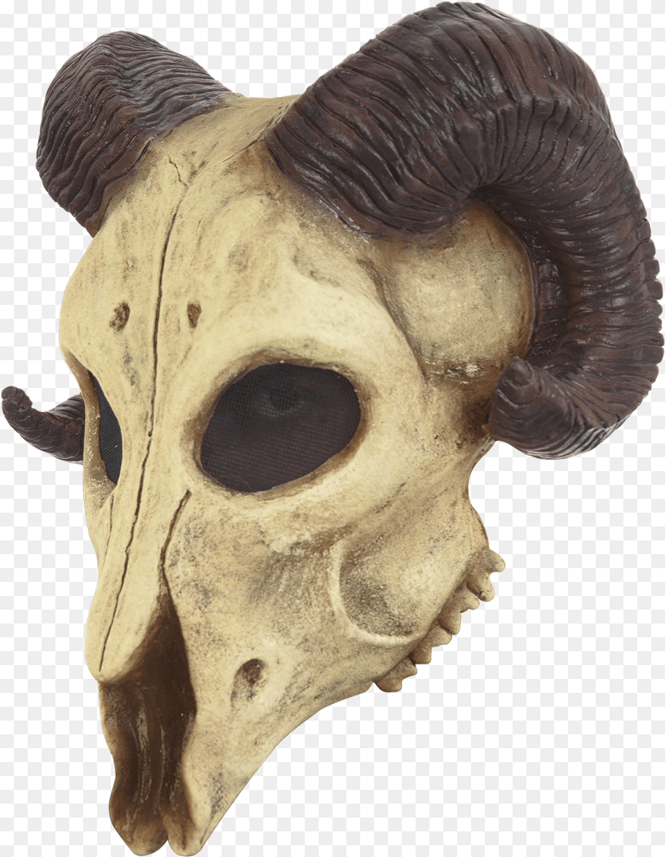 Ram Mask, Adult, Male, Man, Person Free Transparent Png