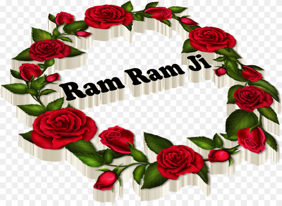 Ram Ram Ji Happy Valentine39s Day February 14th Valentine39s Day, Flower, Plant, Rose, Pattern Png