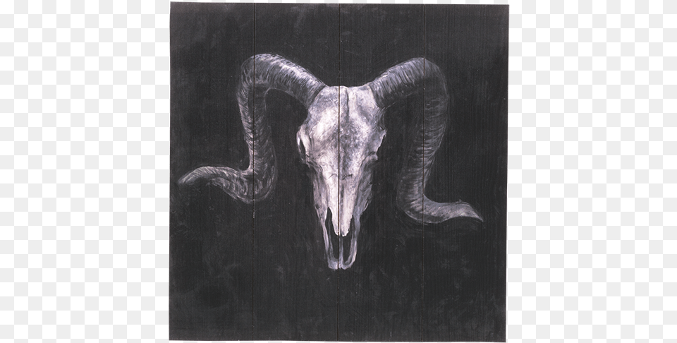 Ram Skull Painting, Art, Animal, Horse, Mammal Png