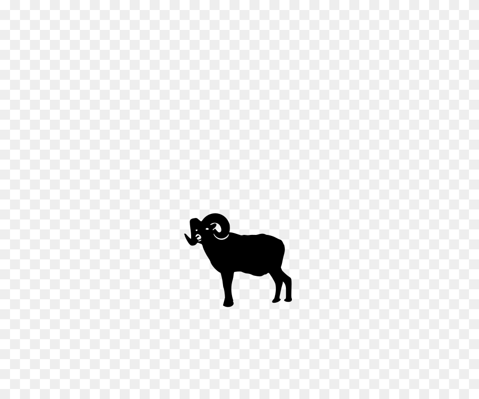 Ram Standing, Gray Png Image