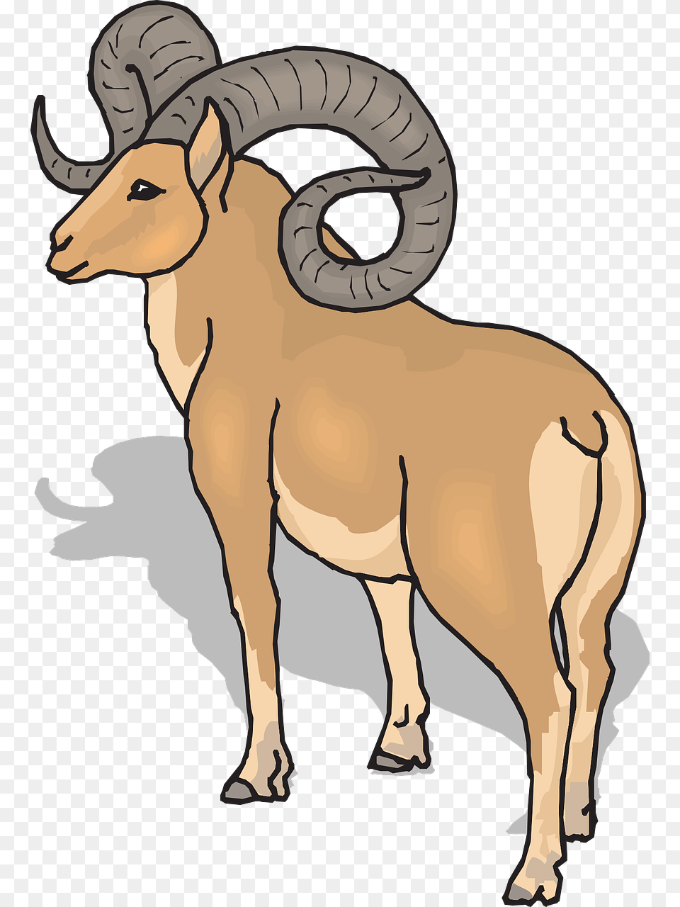 Ram Trucks Sheep Dodge Clip Art, Animal, Mammal, Person, Livestock Free Png