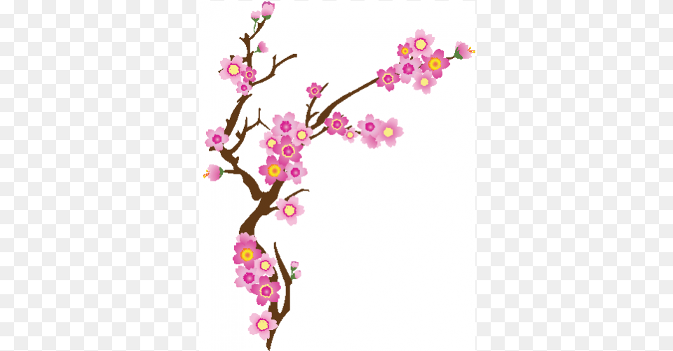 Rama Con Flor Rosa Branch Of Cherry Blossom, Flower, Plant, Cherry Blossom, Accessories Free Transparent Png