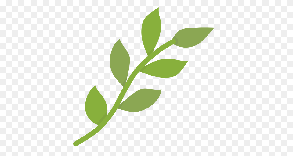 Rama De Hojas Vector Image, Herbal, Herbs, Leaf, Plant Png