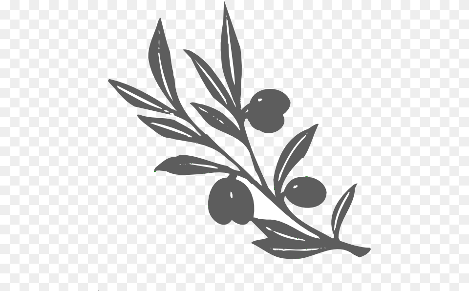 Rama De Olivo Dibujo, Leaf, Plant, Fruit, Food Png Image