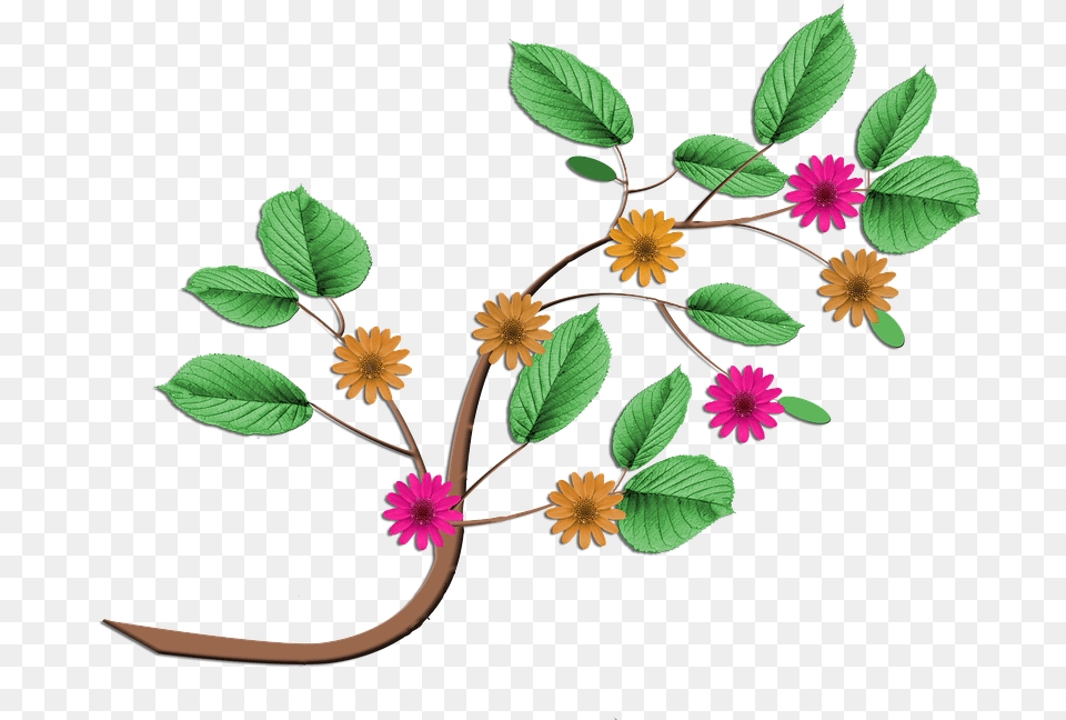 Rama Flores Flor Floracin Planta Flora Ramos De Flores Desenho, Plant, Pattern, Flower, Leaf Free Png