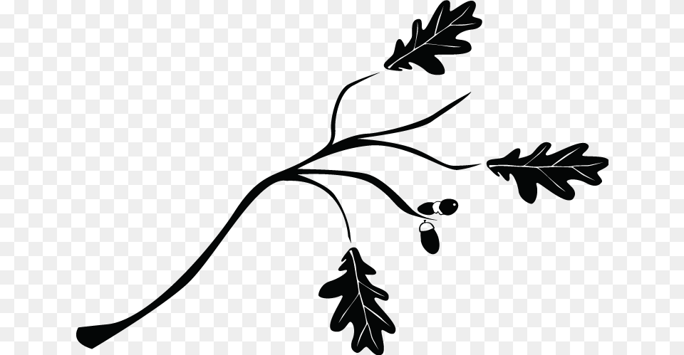 Ramas Arbol Blancoynegro Blancoampnegro Blackandwhite, Leaf, Plant, Art, Pattern Free Transparent Png