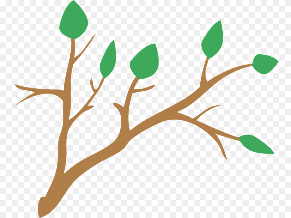 Ramas De Arbol Image, Leaf, Plant, Flower, Art Free Png