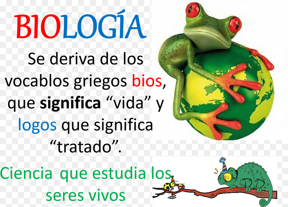 Ramas De La Biologa Frog 3d, Amphibian, Animal, Wildlife, Dinosaur Png