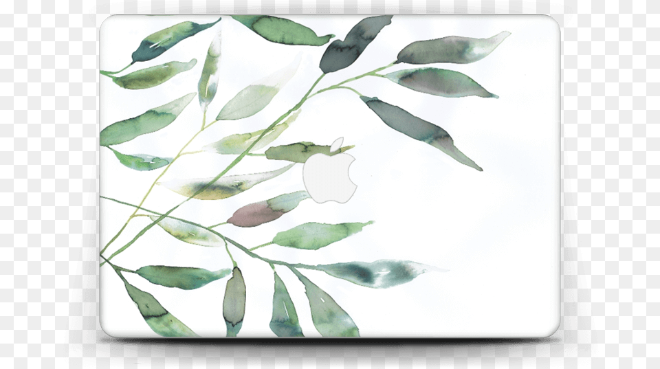 Ramas De Olivo Rama De Olivo, Leaf, Plant, Art, Animal Free Png Download