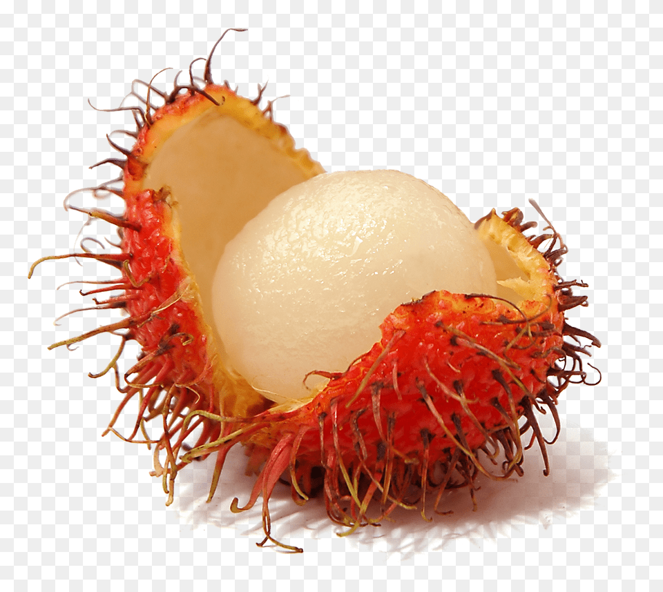 Rambutan, Food, Fruit, Plant, Produce Png
