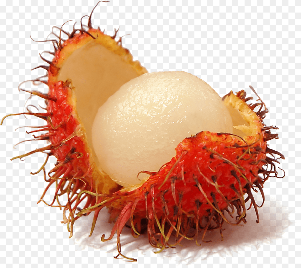 Rambutan, Food, Fruit, Plant, Produce Png Image