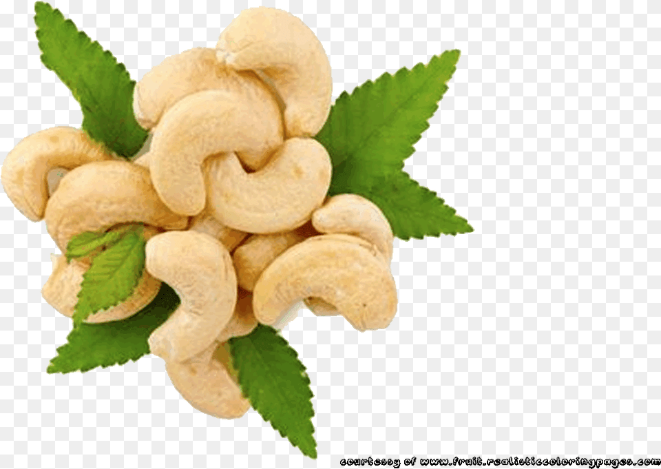 Rambutan Cashew Fruit Pencil Raw Cashew Nut Download Free, Food, Plant, Produce, Vegetable Png Image