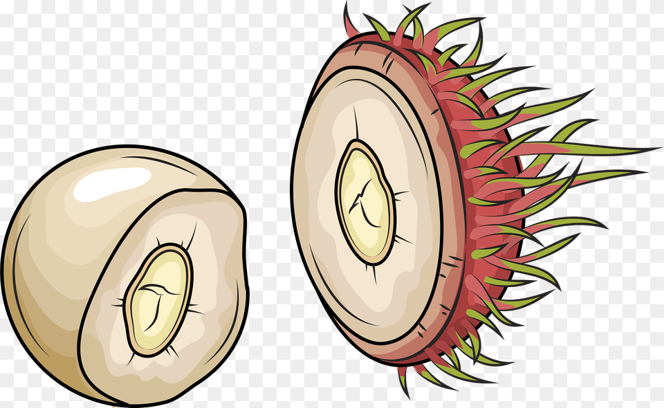 Rambutan Clipart, Food, Produce, Fruit, Plant Png Image