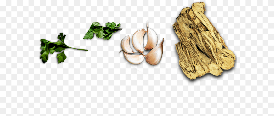 Ramen, Herbs, Plant, Herbal, Parsley Free Png Download