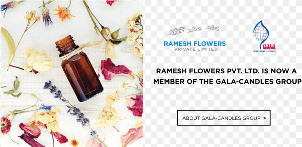 Ramesh Flower Pvt Ltd, Herbal, Herbs, Plant, Cosmetics Free Png Download